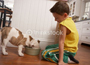 Ребёнок и собака: кто кого воспитывает?